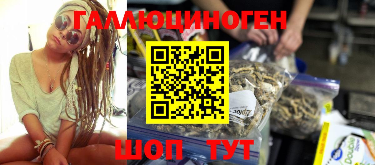 Псилоцибиновые грибы Psilocybine cubensis Уссурийск